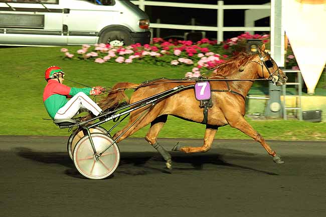 Arrivée quinté pmu PRIX GERALDINA à PARIS-VINCENNES