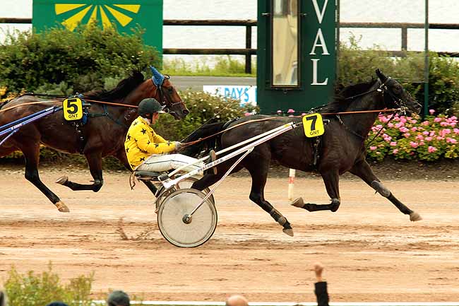 Arrivée quinté pmu GRAND NATIONAL DU TROT PARIS-TURF à LAVAL