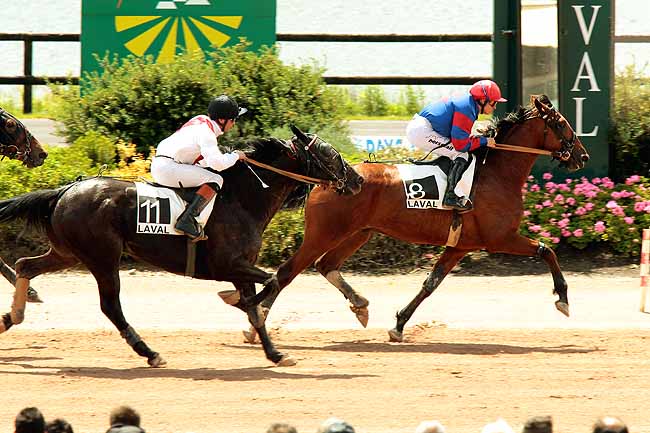 Arrivée quinté pmu PRIX DU CONSEIL REGIONAL DES PAYS DE LOIRE à LAVAL