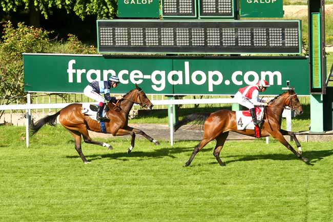 Arrivée quinté pmu PRIX PRODUCER à SAINT-CLOUD