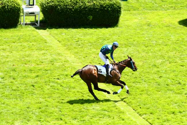 Arrivée quinté pmu PRIX LINDOR à AUTEUIL