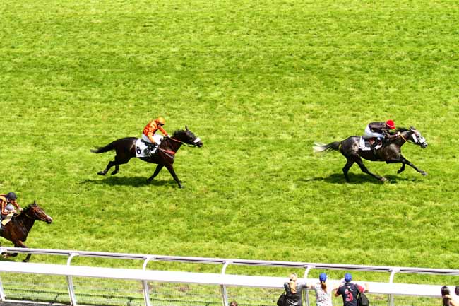 Arrivée quinté pmu PRIX HARDATIT à AUTEUIL