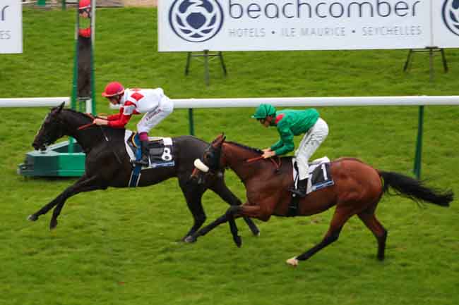 Arrivée quinté pmu PRIX MARCHE FLEURIES à LONGCHAMP