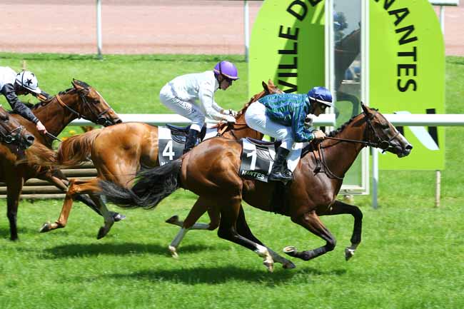 Arrivée quinté pmu PRIX YVES LALLEMAN à NANTES