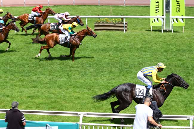 Arrivée quinté pmu GRAND PRIX SYNERGIE à NANTES