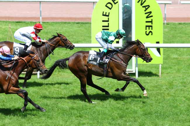 Arrivée quinté pmu PRIX DE LA CHEZINE à NANTES