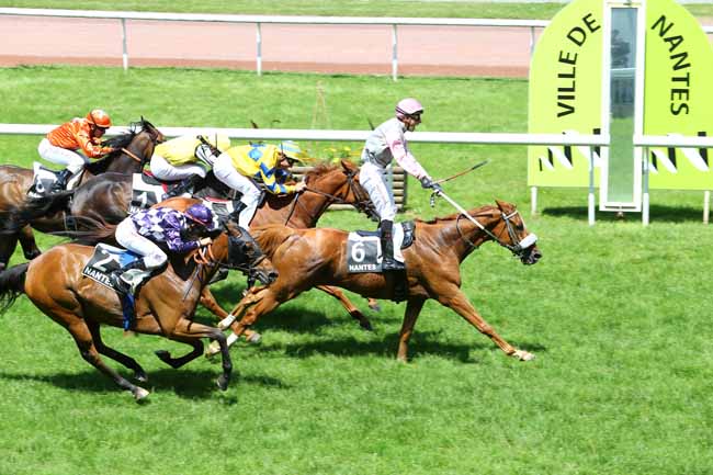 Arrivée quinté pmu PRIX JOURNAL GENYCOURSES à NANTES