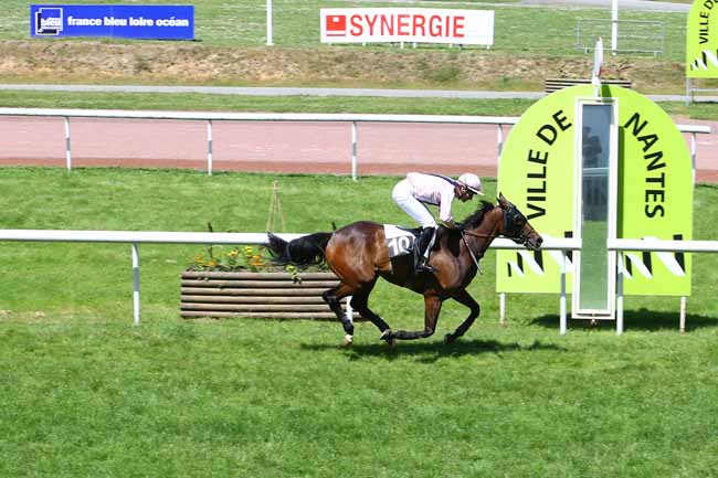 Arrivée quinté pmu PRIX CLAUDE ROUGET à NANTES