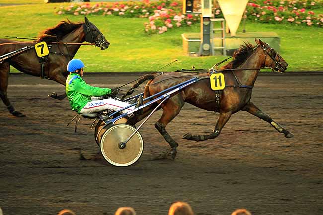 Arrivée quinté pmu PRIX PARTENAIRE PARIS SAINT-GERMAIN à PARIS-VINCENNES