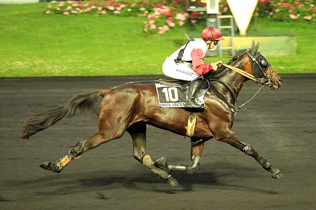 Arrivée quinté pmu PRIX TYCHE à PARIS-VINCENNES