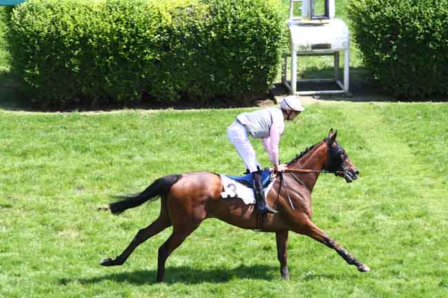 Arrivée quinté pmu PRIX OUISTREHAM à AUTEUIL