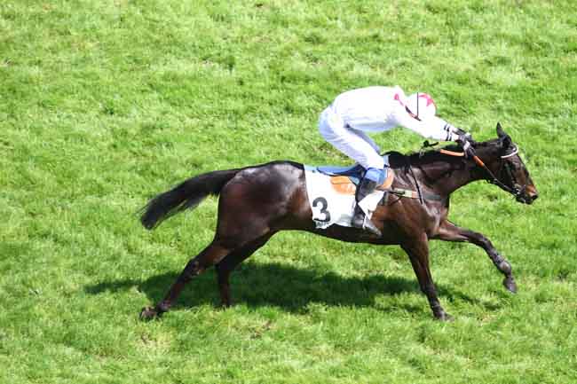 Arrivée quinté pmu PRIX BELLE ISLE à AUTEUIL