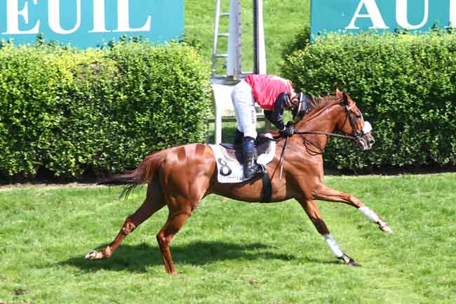 Arrivée quinté pmu PRIX MAURICE DE NEXON à AUTEUIL