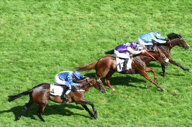 Arrivée quinté pmu PRIX BEAUMANOIR à AUTEUIL