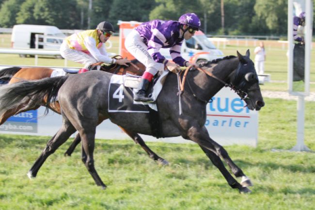 Arrivée quinté pmu PRIX SIMPLY MARKET à WISSEMBOURG