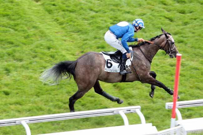 Arrivée quinté pmu PRIX BURGRAVE II à AUTEUIL