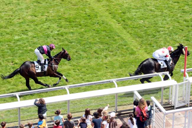 Arrivée quinté pmu PRIX DU VESINET à AUTEUIL