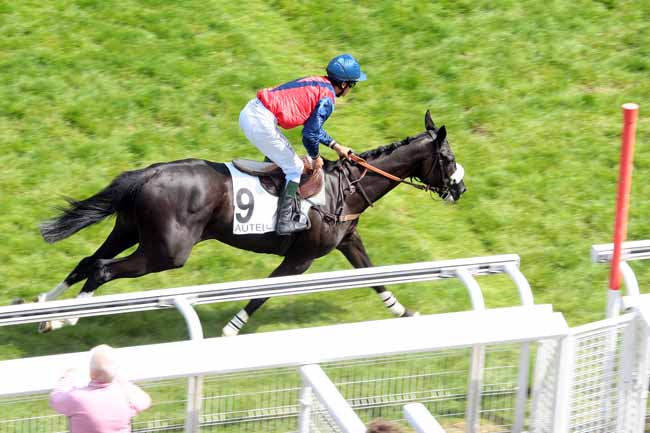 Arrivée quinté pmu PRIX JASON à AUTEUIL