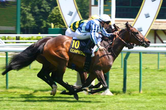 Arrivée quinté pmu PRIX DE L'ETOILE DE LA REINE à COMPIEGNE