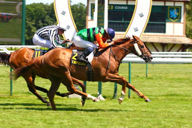 Arrivée quinté pmu PRIX DES AMATEURS à COMPIEGNE