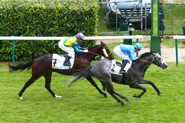 Arrivée quinté pmu PRIX DU CAPRICORNE à CHANTILLY