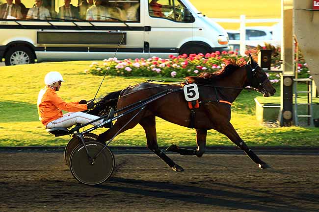 Arrivée quinté pmu PRIX SAPPHO à PARIS-VINCENNES