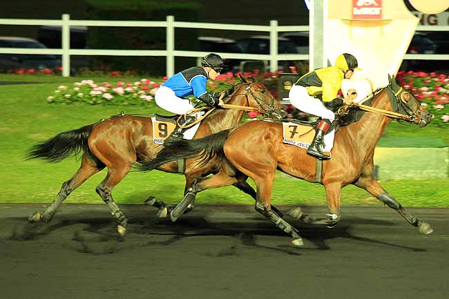 Arrivée quinté pmu PRIX OKDA à PARIS-VINCENNES