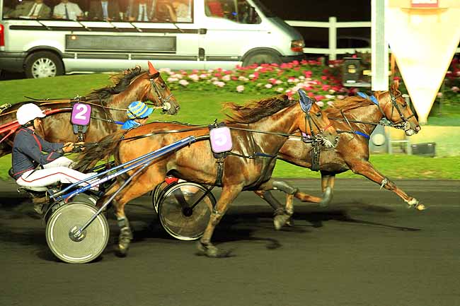 Arrivée quinté pmu PRIX ECHO à PARIS-VINCENNES