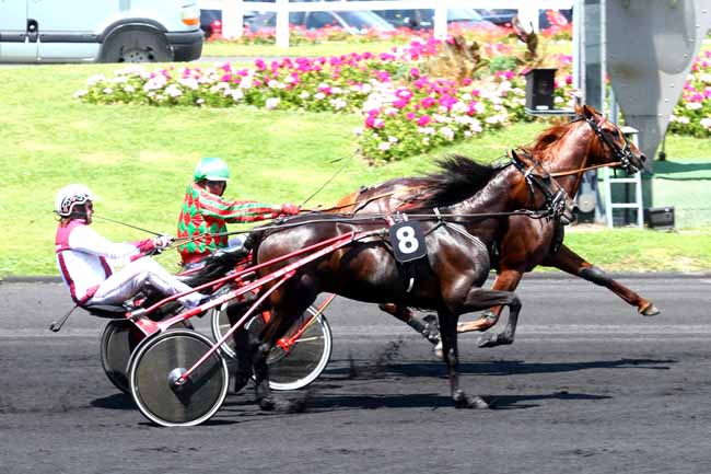 Arrivée quinté pmu PRIX RAY FOUARD à PARIS-VINCENNES