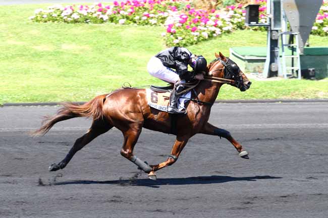 Arrivée quinté pmu PRIX D'ESSAI à PARIS-VINCENNES