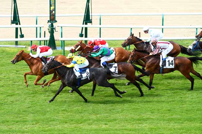 Arrivée quinté pmu PRIX DE BEAUVAIS à CHANTILLY