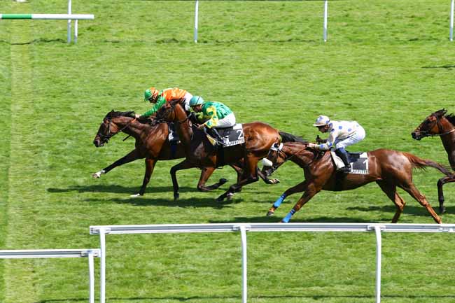 Arrivée quinté pmu PRIX DE LA FORET DE MARLY à MAISONS-LAFFITTE