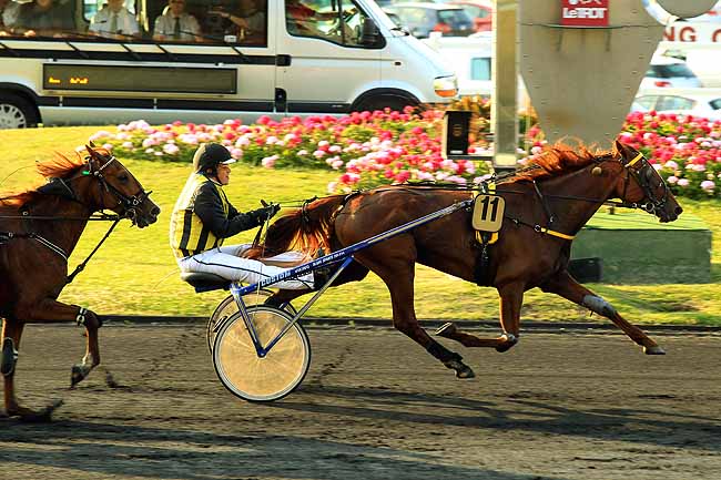 Arrivée quinté pmu PRIX LES BEFORE DE L'HIPPODROME à PARIS-VINCENNES