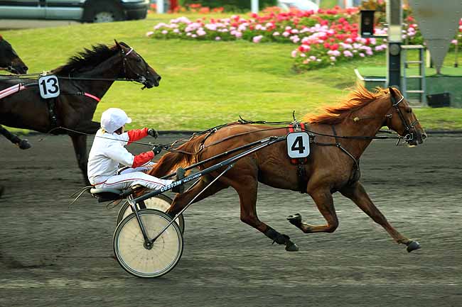 Arrivée quinté pmu PRIX MERCI ALFRED à PARIS-VINCENNES