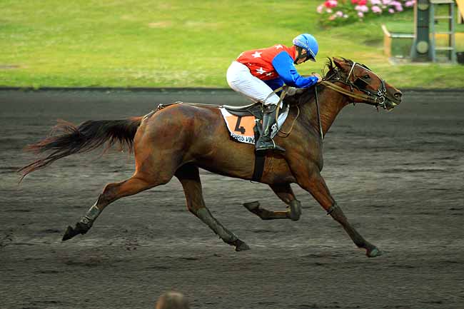 Arrivée quinté pmu PRIX TWITTER à PARIS-VINCENNES