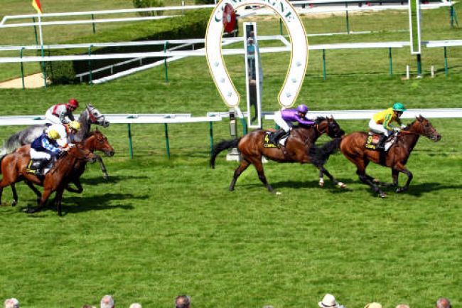 Arrivée quinté pmu PRIX IMPERATRICE EUGENIE à COMPIEGNE