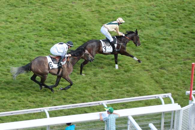 Arrivée quinté pmu PRIX DU DEFILE à AUTEUIL