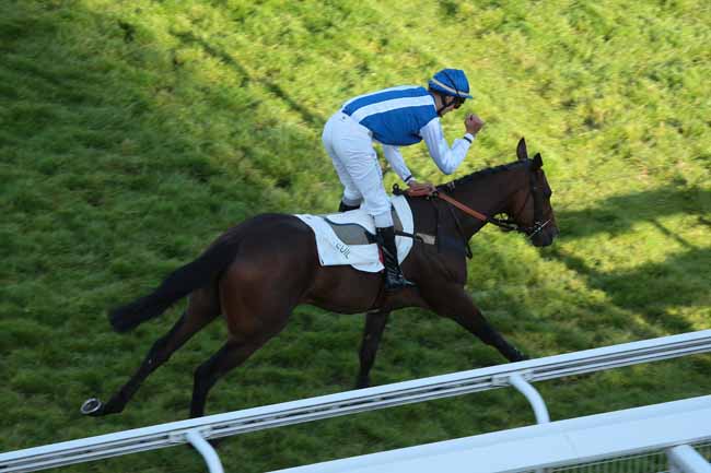 Arrivée quinté pmu PRIX D'ACHERES à AUTEUIL