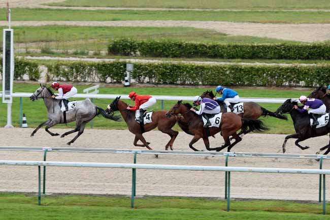 Arrivée quinté pmu PRIX D'HOULLEY à DEAUVILLE