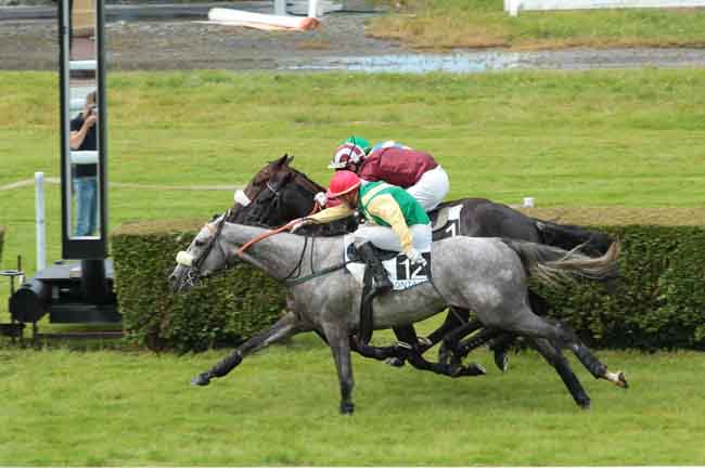 Arrivée quinté pmu PRIX DU DOUET - PELOTON B à CLAIREFONTAINE