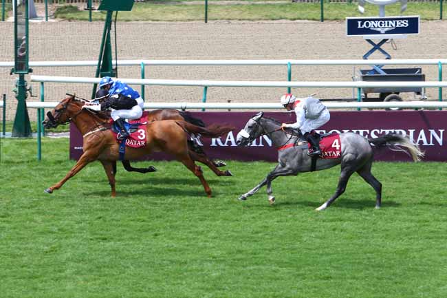 Arrivée quinté pmu PRIX QATAR COUPE DE FRANCE DES CHEVAUX ARABE à CHANTILLY