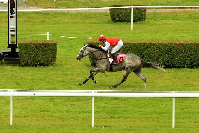 Arrivée quinté pmu PRIX LEOPOLD D'ORSETTI à CLAIREFONTAINE