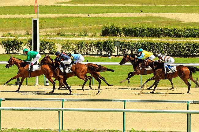 Arrivée quinté pmu PRIX DE LA ROCQUE à DEAUVILLE