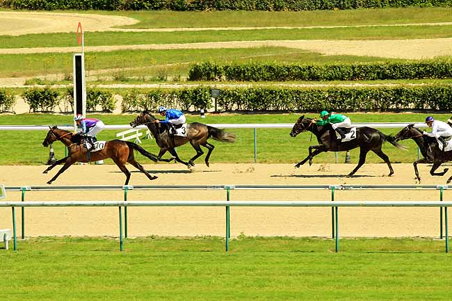 Arrivée quinté pmu PRIX DU COCHET à DEAUVILLE