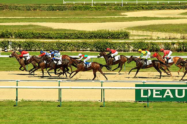 Arrivée quinté pmu PRIX DES MARAIS à DEAUVILLE