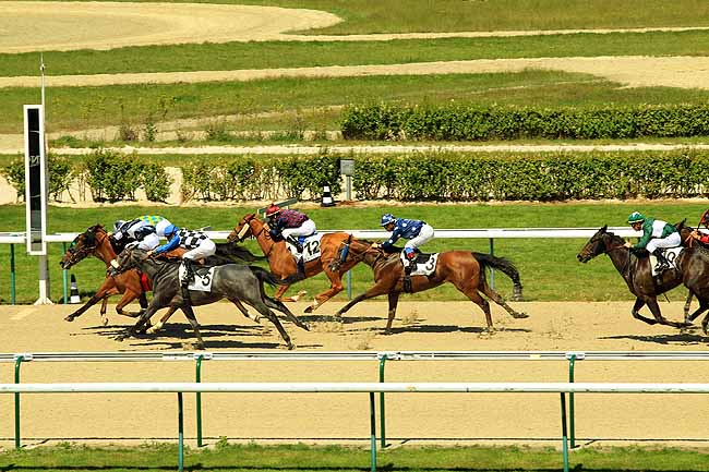 Arrivée quinté pmu PRIX DU MOLAY-LITTRY à DEAUVILLE