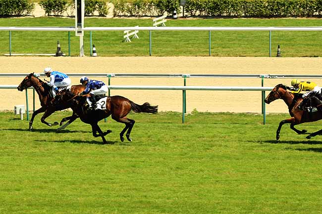 Arrivée quinté pmu PRIX DE TICHEVILLE à DEAUVILLE
