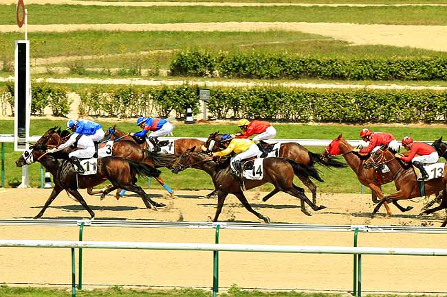 Arrivée quinté pmu PRIX D'AUQUAINVILLE à DEAUVILLE