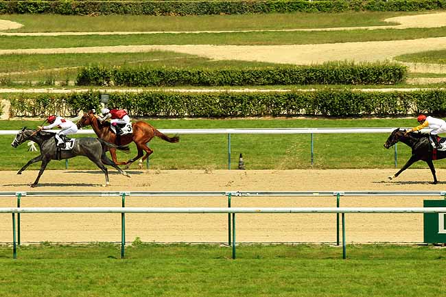 Arrivée quinté pmu PRIX DE LA PERRIERE à DEAUVILLE