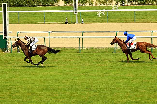 Arrivée quinté pmu PRIX DE COLOMBIERS à DEAUVILLE